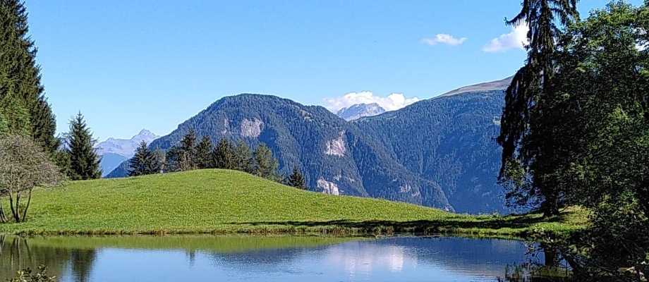 Pond in Switzerland