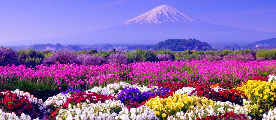 Spring in Japan
